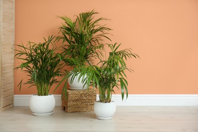 Beautiful exotic house plants near color wall indoors