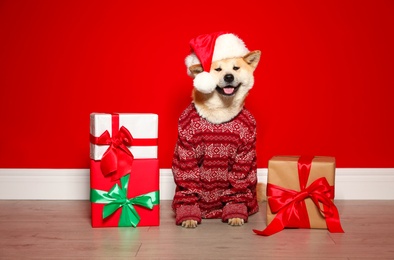 Cute Akita Inu dog in Christmas sweater and Santa hat near gift boxes indoors