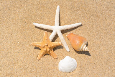 Beautiful starfishes and sea shells on sandy beach, flat lay