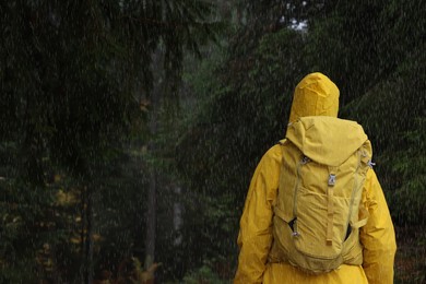 Woman with raincoat and backpack in forest under rain, back view
