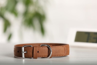 Brown leather dog collar on table against blurred background, space for text