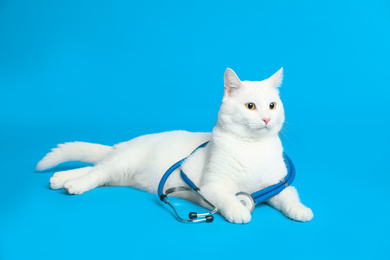 Cute cat with stethoscope as veterinarian on light blue background