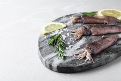 Photo of Fresh raw squids with lemon, rosemary and salt on light grey marble table. Space for text