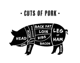 Butcher's guide: Cuts of pork scheme. Illustration of pig on white background
