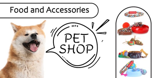 Advertising banner design for pet shop. Cute dog and different accessories on white background