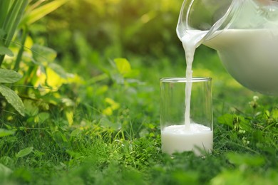 Pouring tasty fresh milk from jug into glass on green grass outdoors, closeup. Space for text
