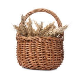 Wicker basket with ears of wheat on white background