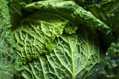 Photo of Fresh ripe savoy cabbage as background, closeup