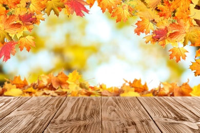 Image of Empty wooden surface and beautiful autumn leaves on blurred background 
