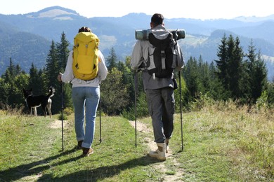 Couple with backpacks and trekking poles hiking in mountains, back view
