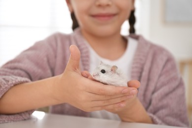 Little girl with cute hamster at home, closeup
