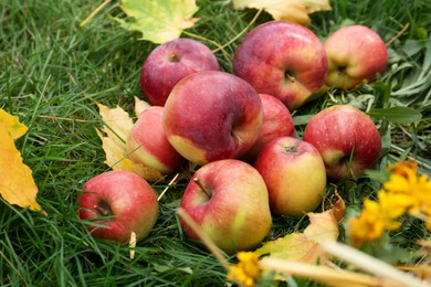 Delicious ripe red apples and maple leaves on green grass outdoors, closeup. Autumn harvest