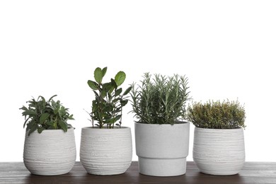 Pots with thyme, bay, sage and rosemary on wooden table against white background