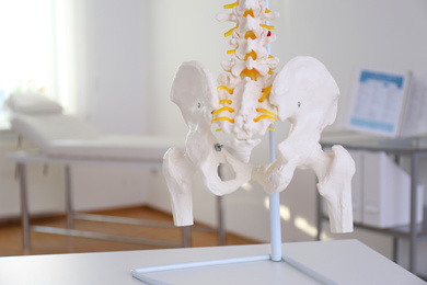 Human spine model on table in orthopedist's office, closeup