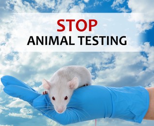 STOP ANIMAL TESTING. Scientist holding rat against blue sky, closeup 