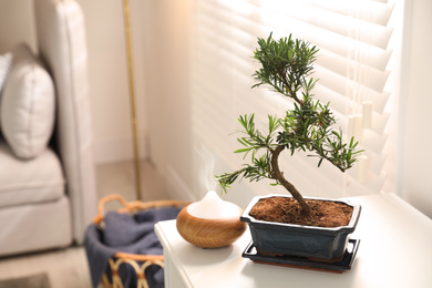 Photo of Japanese bonsai plant and oil diffuser on table in living room, space for text. Creating zen atmosphere at home