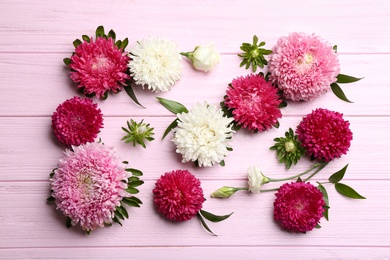 Beautiful asters on pink wooden background, flat lay. Autumn flowers