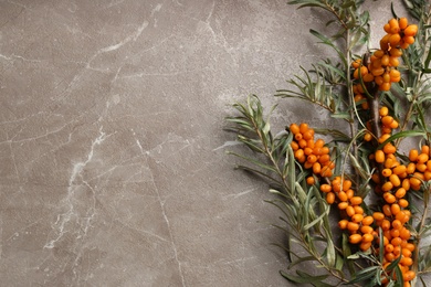 Branches of sea buckthorn on marble table, flat lay. Space for text