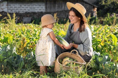 Photo of Mother and daughter harvesting fresh ripe cabbages on farm