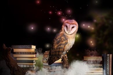 Beautiful wise owl on books in fantasy world
