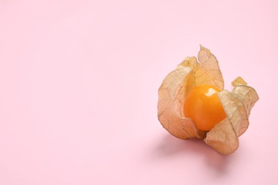 Ripe physalis fruit with dry husk on pink background. Space for text