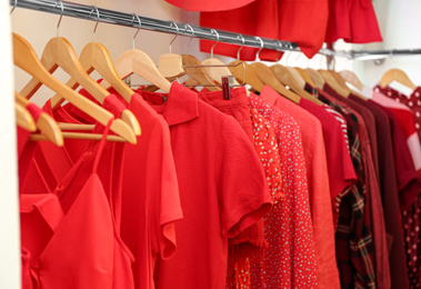 Different red clothes on hangers in wardrobe. Fashion blogger