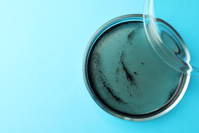 Photo of Petri dish with bacteria colony on light blue background, top view. Space for text