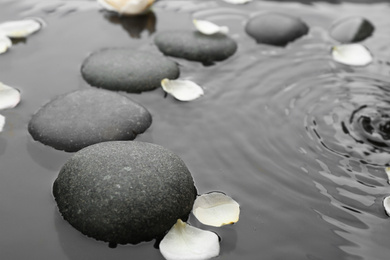 Photo of Spa stones and rose petals in water, closeup. Zen lifestyle