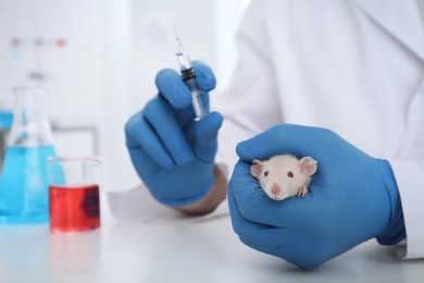 Scientist with syringe and rat in chemical laboratory, closeup. Animal testing