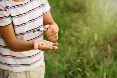 Closeup view of little boy exploring ladybug outdoors, space for text. Child spending time in nature