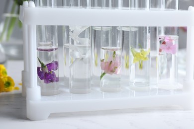 Test tubes with flowers on white table, closeup. Extracting essential oil for perfumery and cosmetics