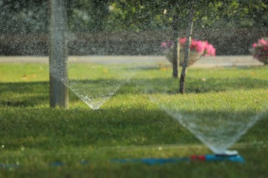 Photo of Automatic sprinklers watering green grass in park. Irrigation system