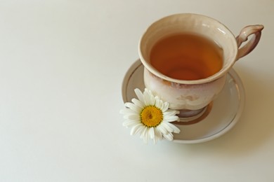 Tasty herbal tea and fresh chamomile flower on white table, space for text