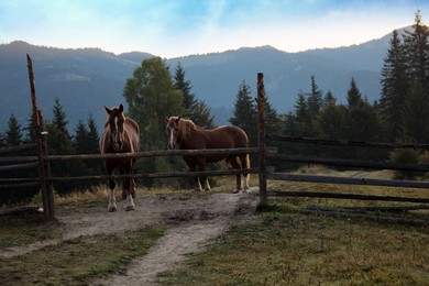 Photo of Beautiful view of horses near wooden fence in mountains