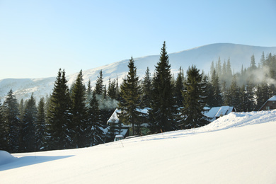 Photo of Picturesque view of conifer forest covered with snow on winter day