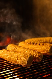 Cooking delicious fresh corn cobs on grilling grate in oven with burning firewood