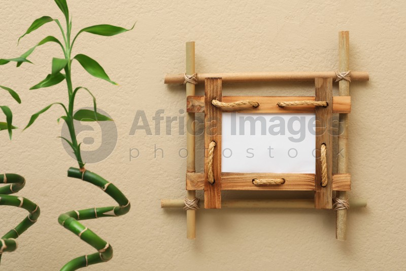 Photo of Green stems near beige wall with bamboo frame