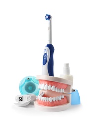 Composition with model of oral cavity and dental care items on white background. Healthy teeth
