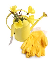 Pair of gloves, gardening tools and blooming plant on white background
