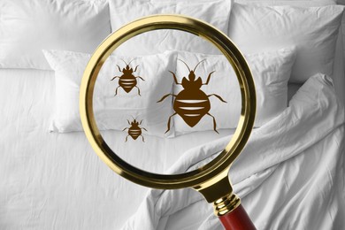 Magnifying glass detecting bed bug in bedroom, closeup view