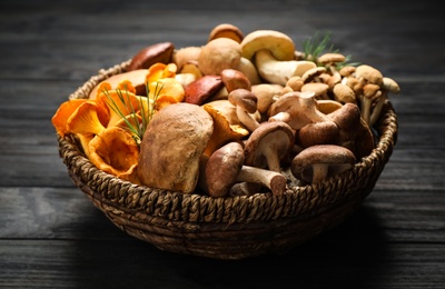 Different fresh wild mushrooms in wicker bowl on black wooden table, top view