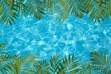 View of beautiful green tropical leaves and outdoor swimming pool as background