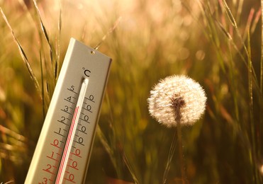 Image of Weather thermometer and dandelion blowball in spring meadow, space for text