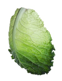 Photo of Leaf of fresh savoy cabbage isolated on white