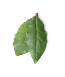 Photo of Fresh bay leaves isolated on white, top view
