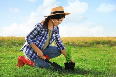 Photo of Young woman planting tree in countryside on sunny day, space for text