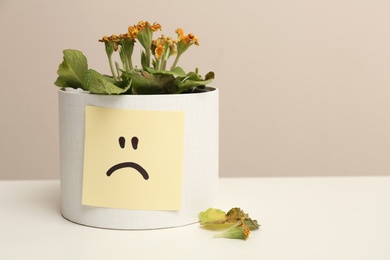 Houseplant and sticker with sad face on white table. Space for text