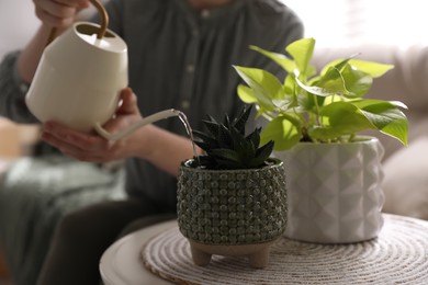 Woman watering beautiful potted plant indoors, closeup. Floral house decor