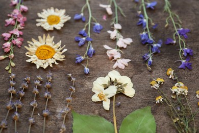 Many different beautiful dried flowers on wooden table
