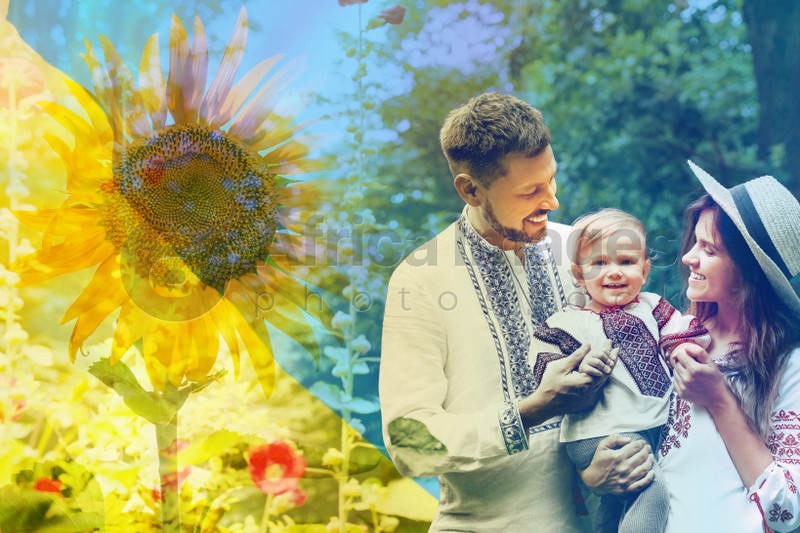 Multiple exposure of happy family wearing national clothes, sunflower and Ukrainian flag